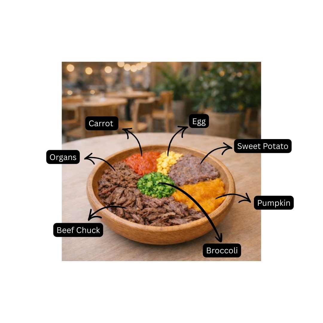 Beef - Rich & Hearty