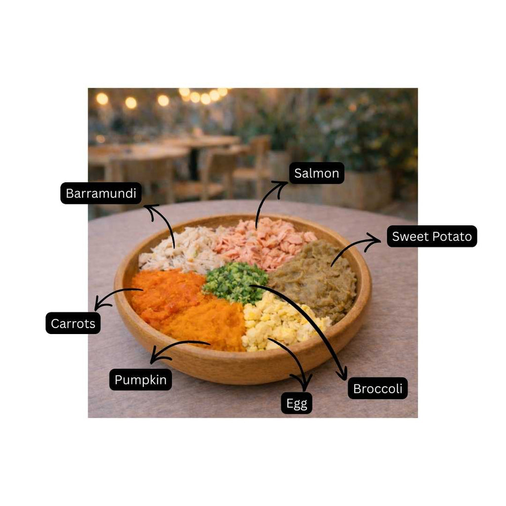 Fish - Light & Nourishing