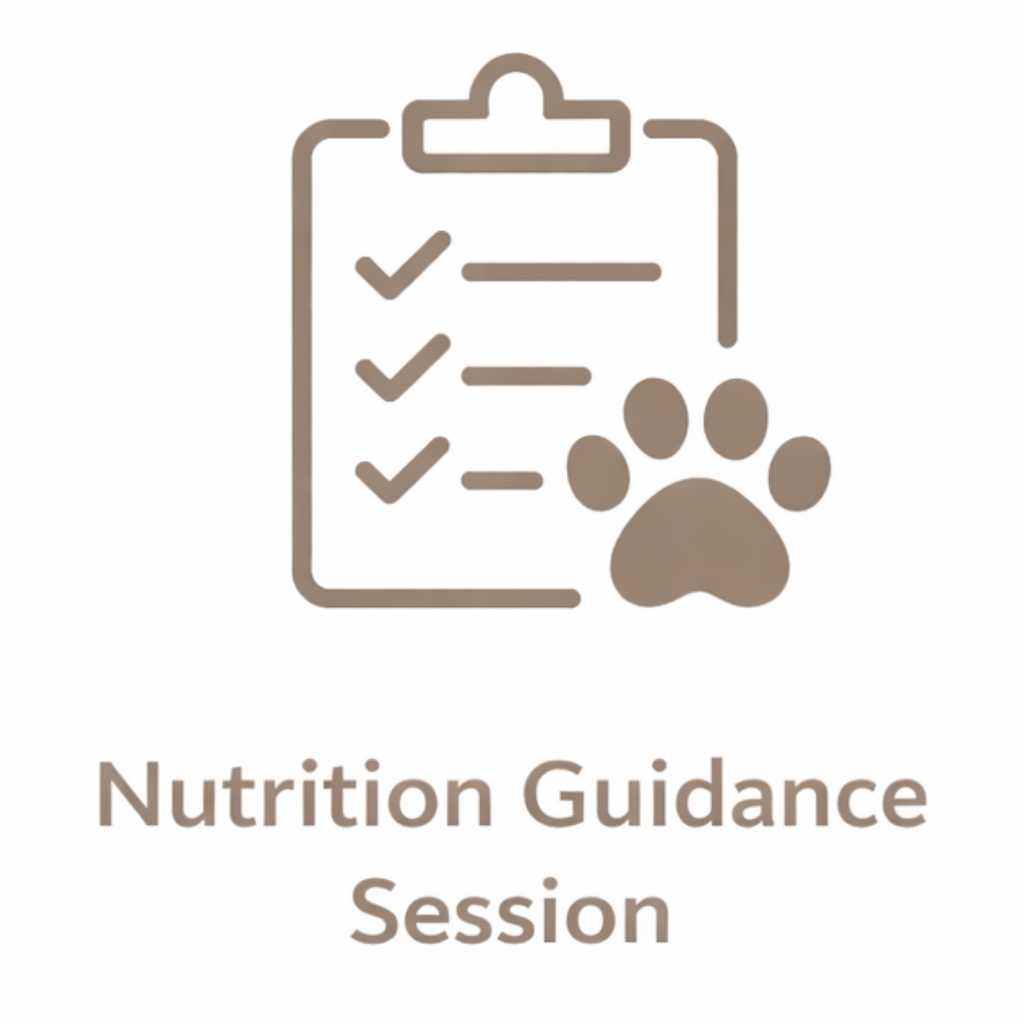 Nutrition Guidance Session