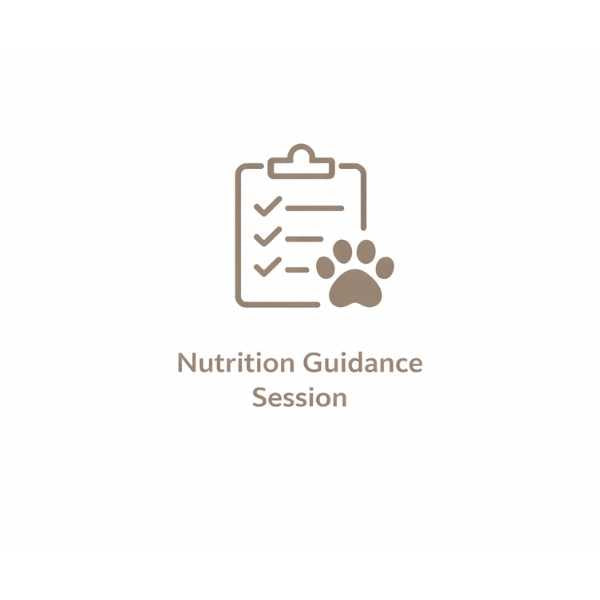 Nutrition Guidance Session